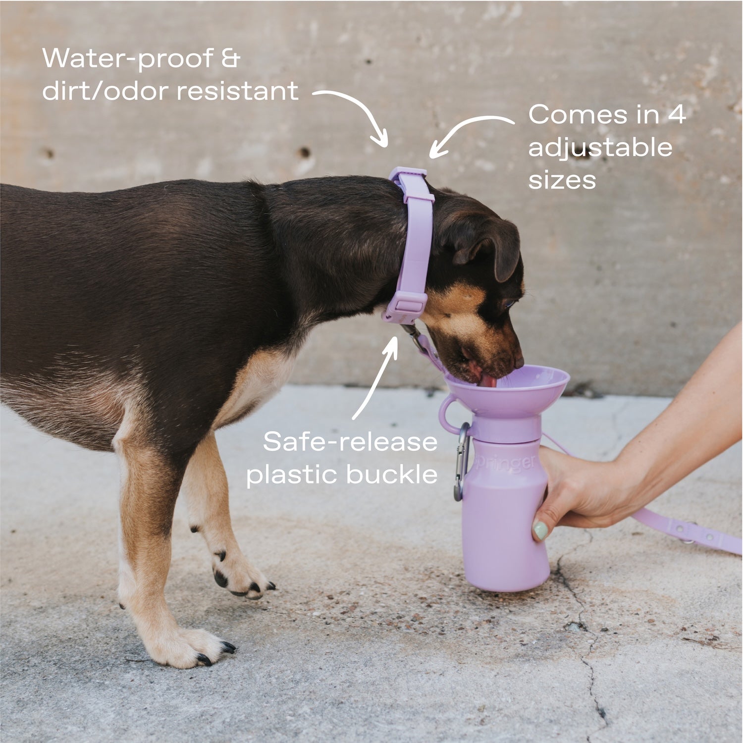 Original Waterproof Dog Collar