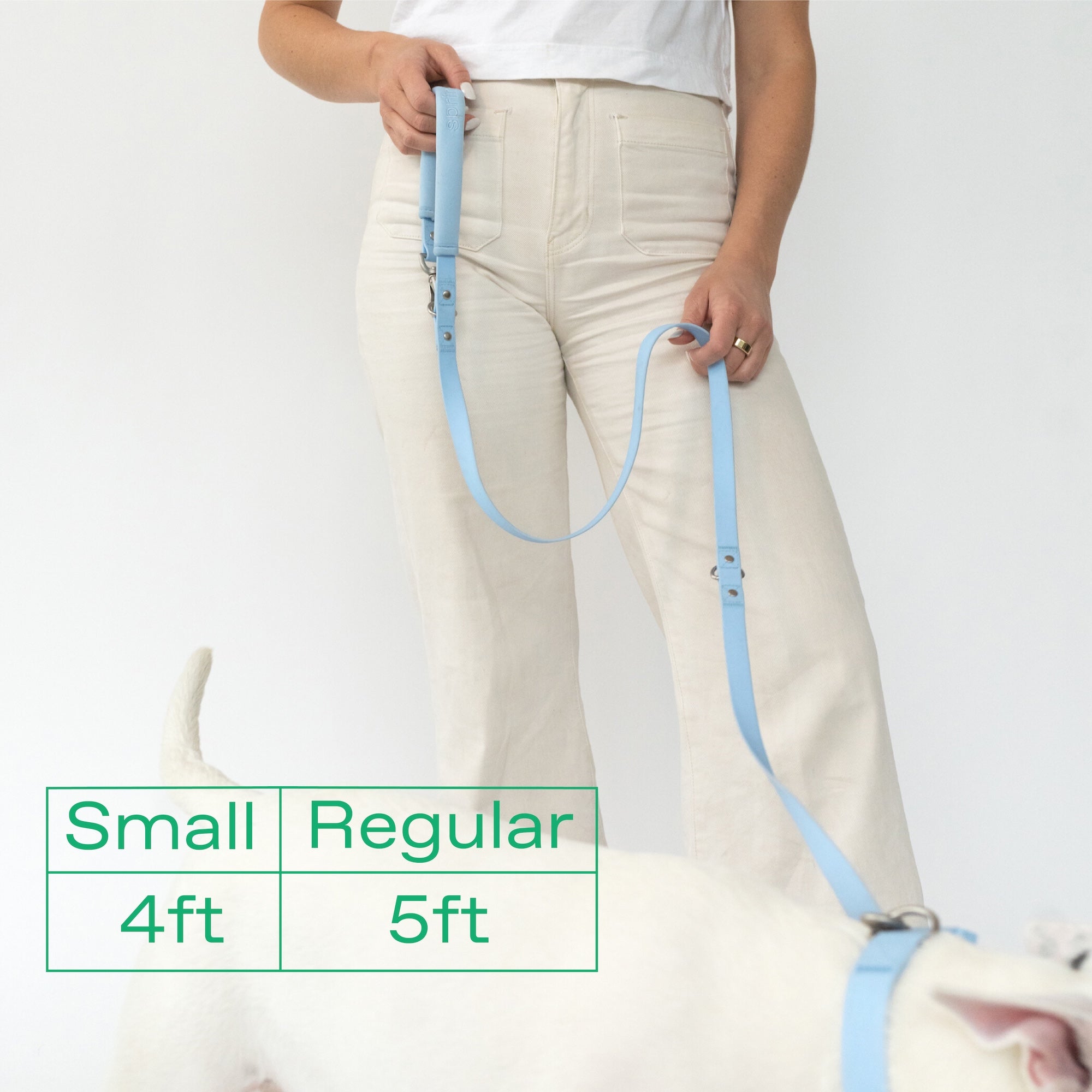 Original Dog Leash with Neoprene Handle