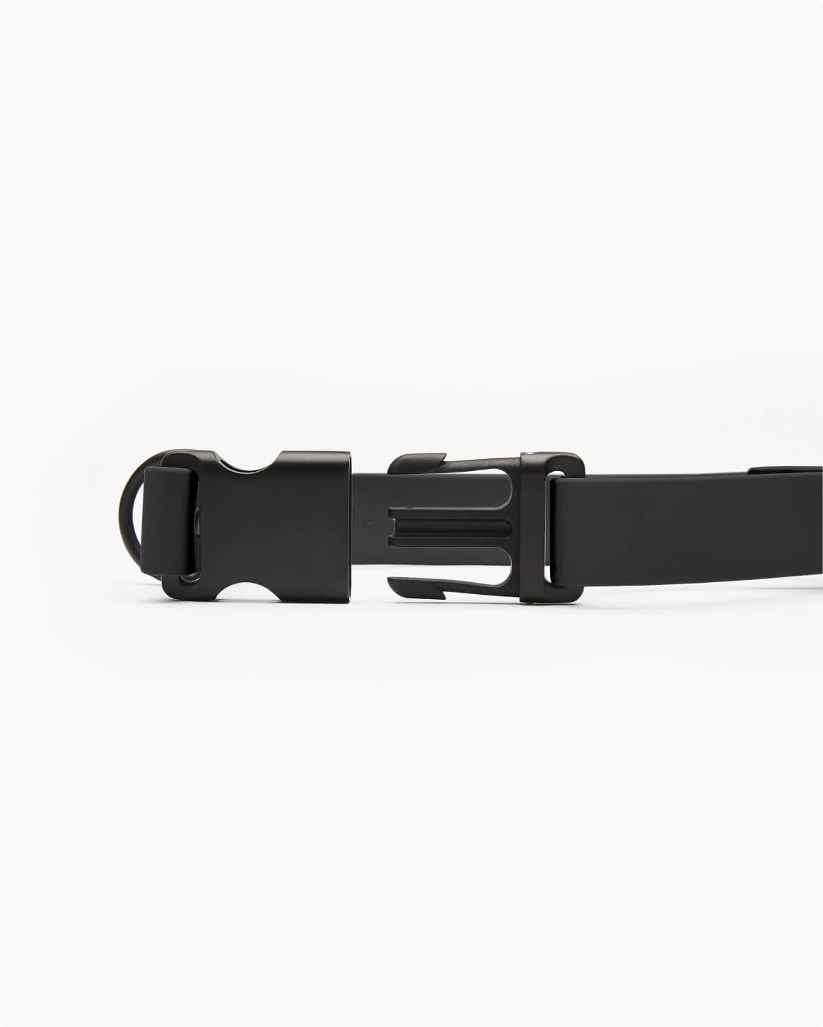 Signature Collar