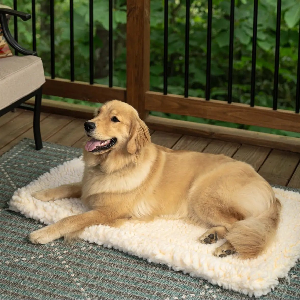Sherpa Comfort Dog Cushion — large dog bed for German Shepherds and big breeds