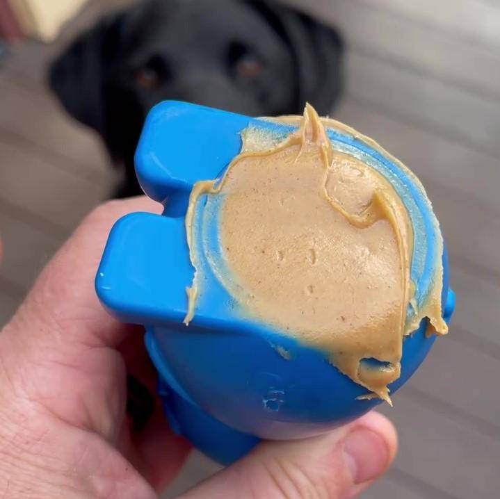 Bunny Nylon Chew Toy for Aggressive Chewers | Durable & USA Made