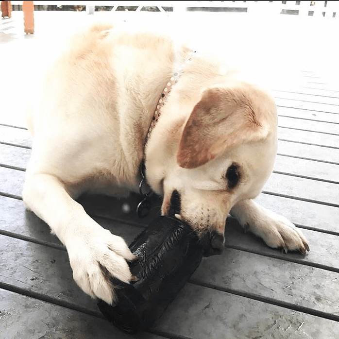 SP Magnum Can Toy eDispenser Ultra Durable Rubber Chew Toy & Treat Dispenser - Power Chewers