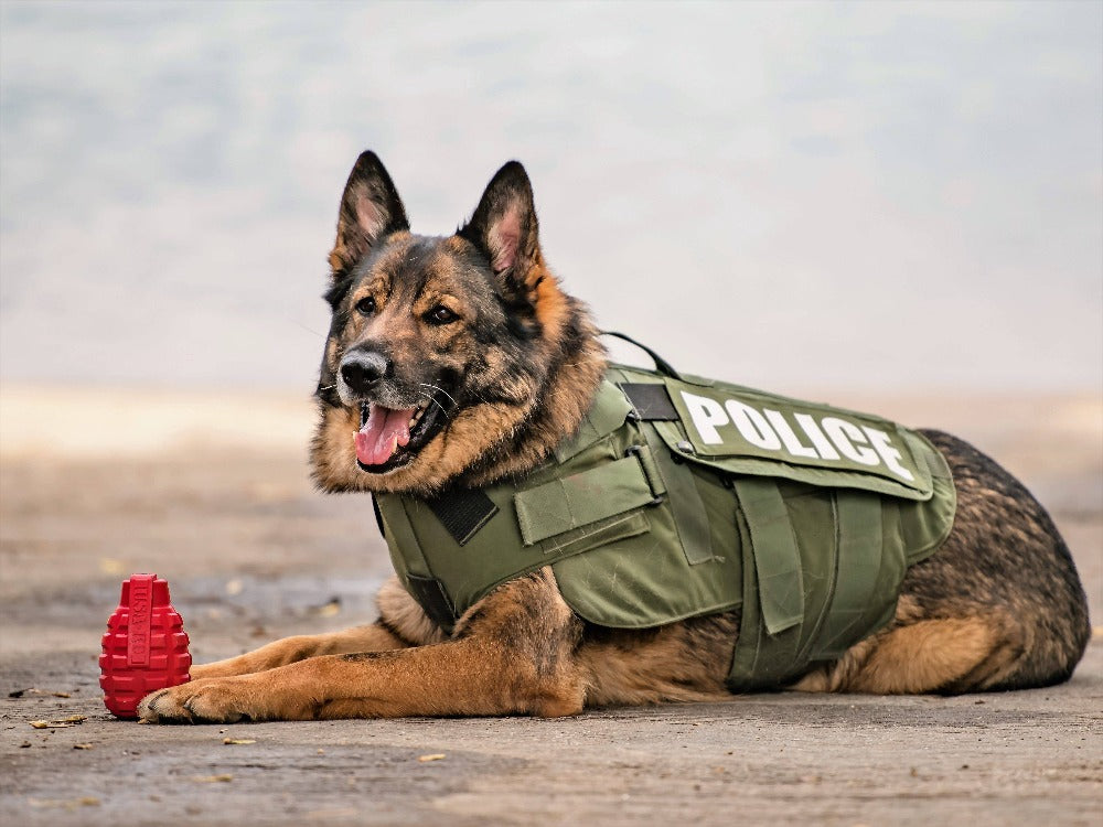 Grenade Shaped eDispenser Durable Dog Chew Toy & Treat Dispenser - Red & Blue